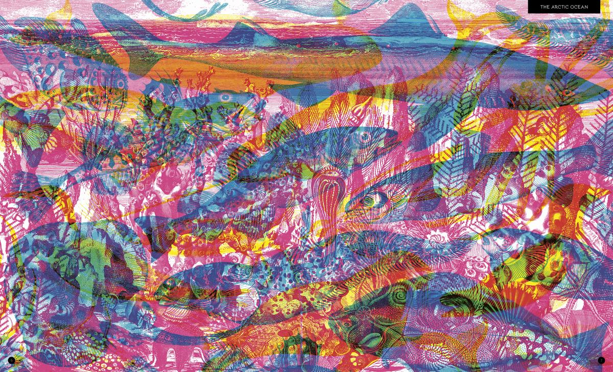 Illuminoceans - Image 3