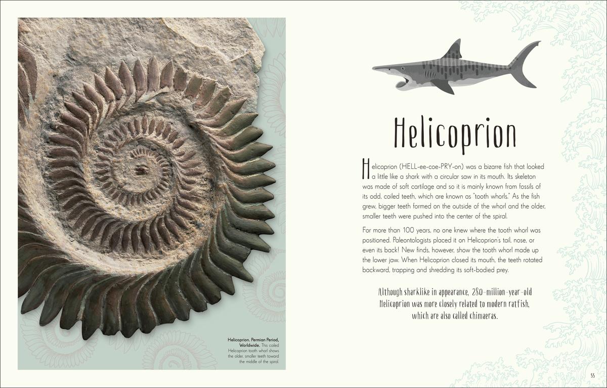 Dinosaurs and Other Prehistoric Life - Image 2