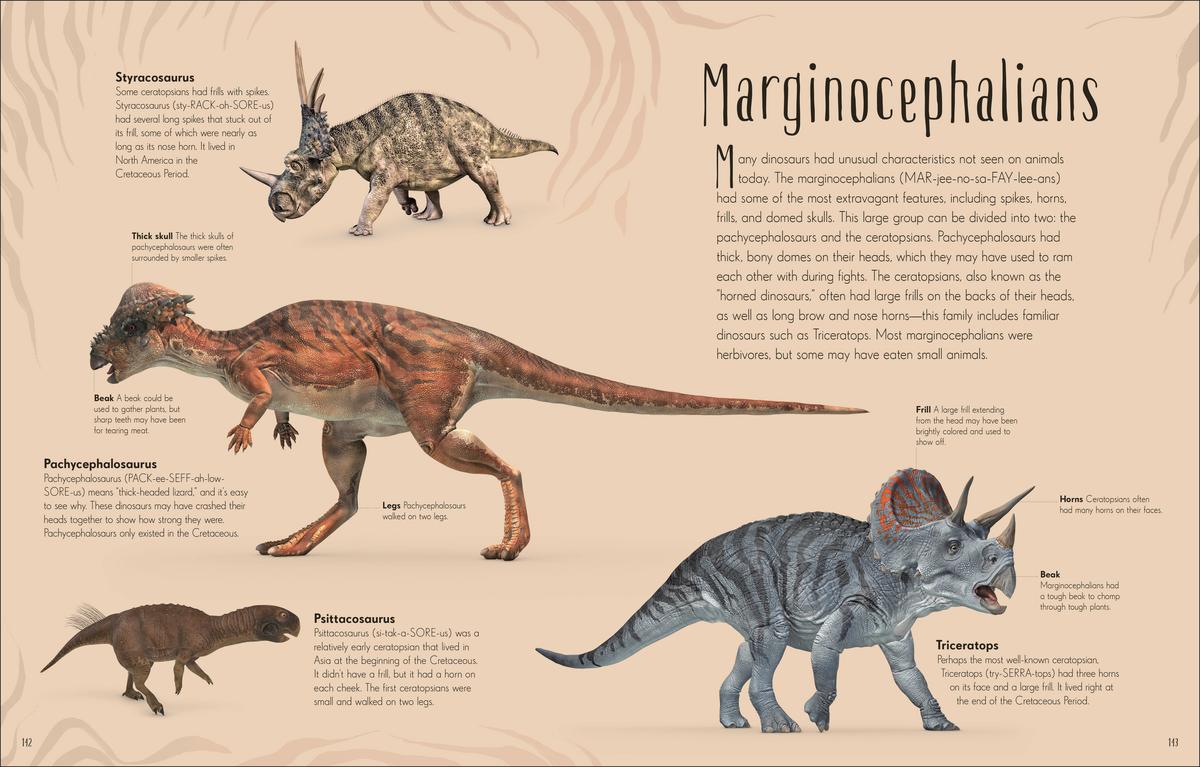 Dinosaurs and Other Prehistoric Life - Image 3