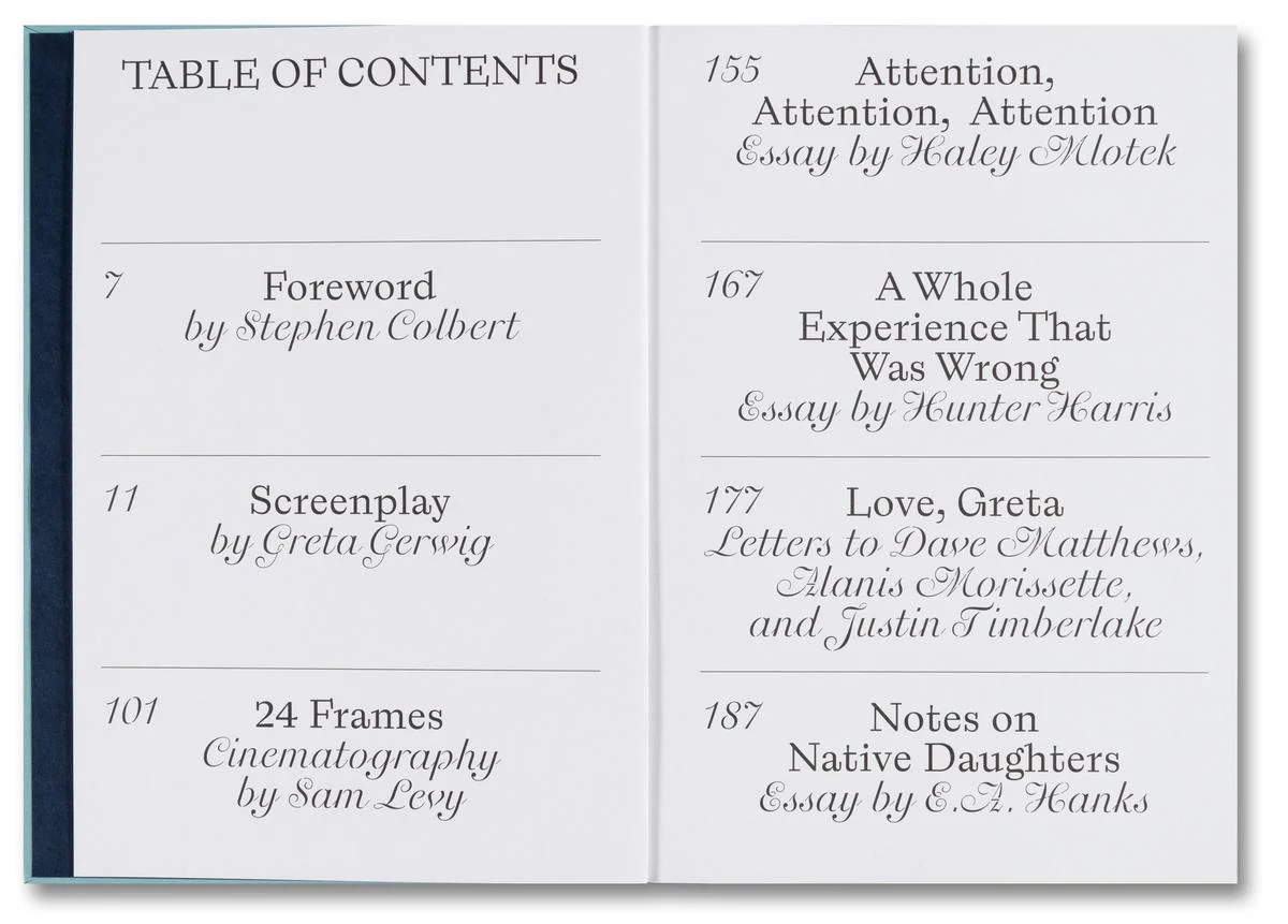 Lady Bird Screenplay - Image 2