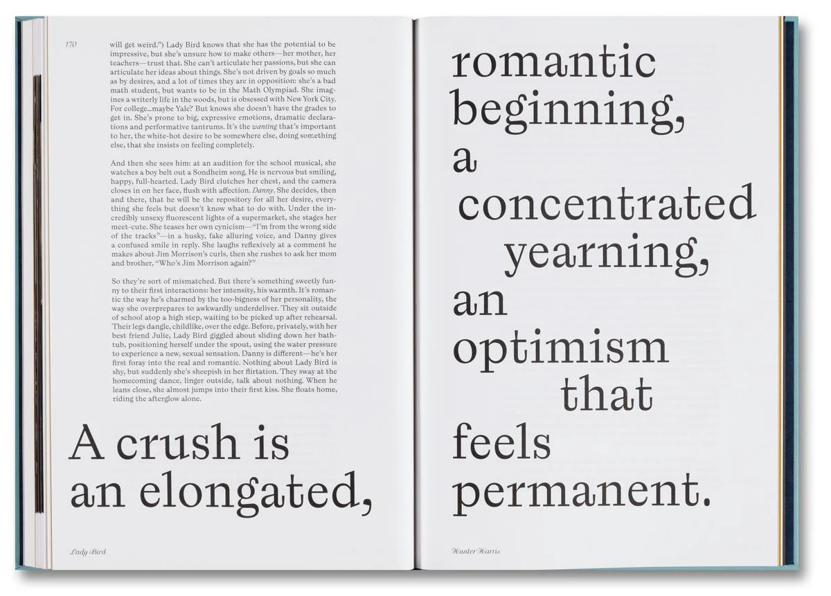 Lady Bird Screenplay - Image 4