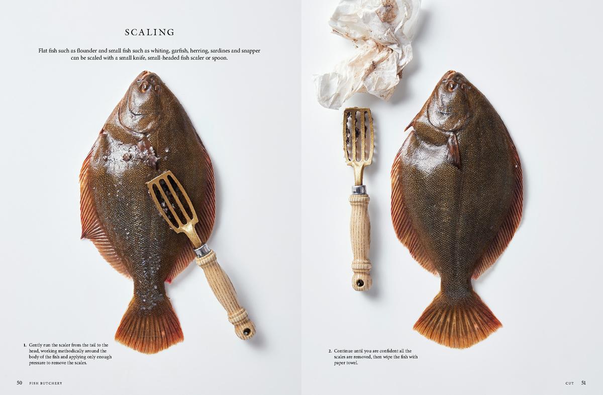 Fish Butchery - Image 4