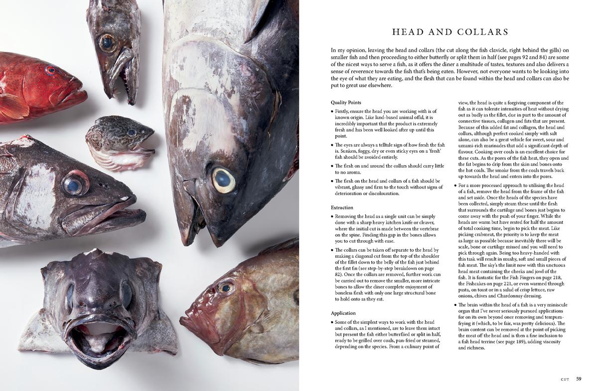 Fish Butchery - Image 6