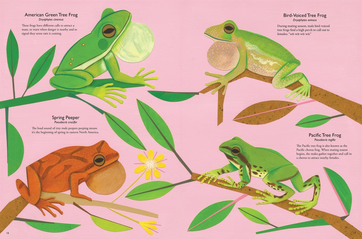 My Book of Frogs and Toads - Image 3