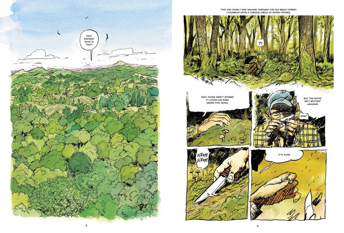 The Hidden Life of Trees: A Graphic Adaptation - Image 2
